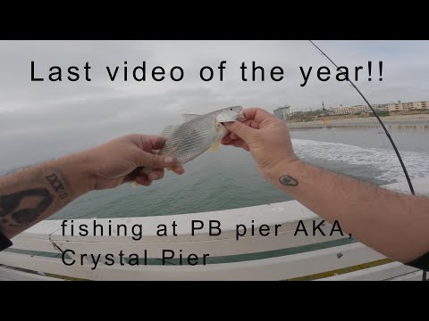 Magicseaweed Crystal Pier
