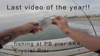 Fishing at PB, Crystal Pier (Last video of 2025)
