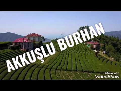 Akkuşlu burhan  ayçam