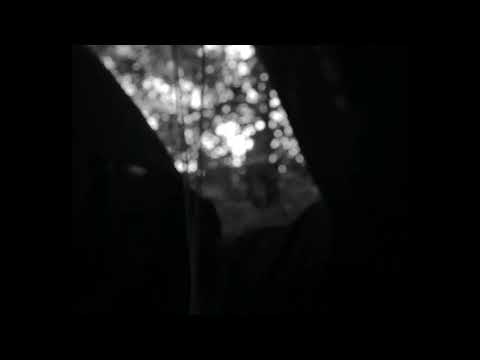 Echo of The Woods trailer thumbnail