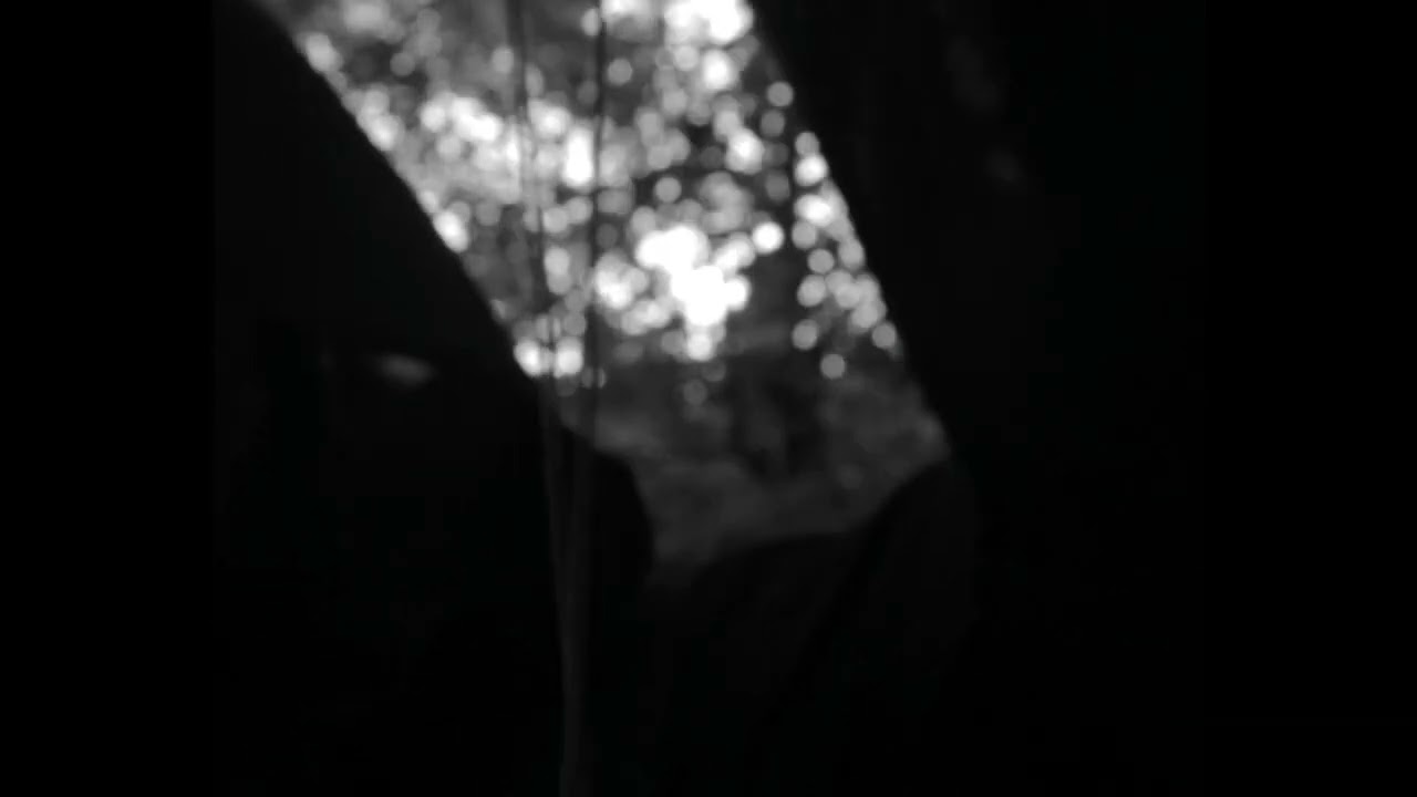 Miniature de la vidéo Echo of the Woods Trailer du film Echo of The Woods