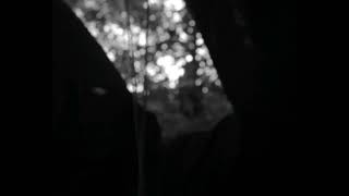 Echo of the Woods Trailer