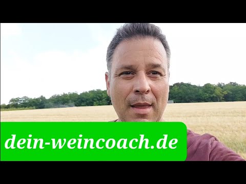 Power für die Rebe nach der Blüte. So sparen Winzer Wasser im Weinberg