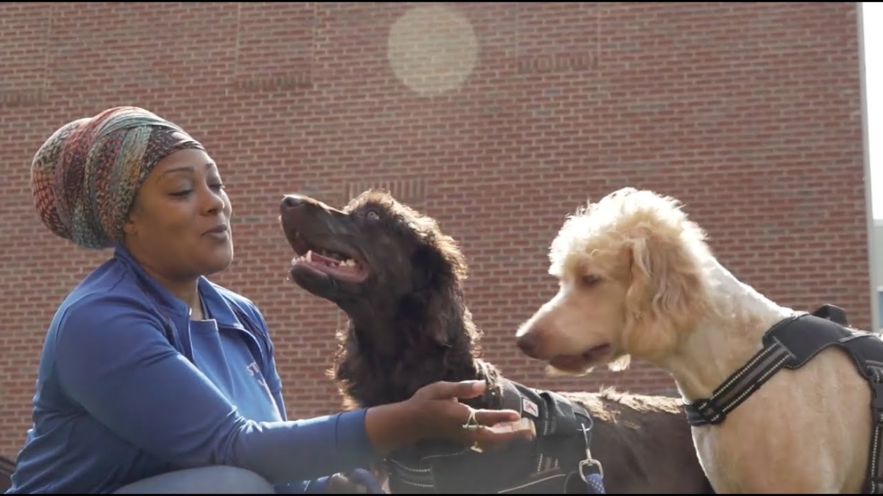 Humane Rescue Alliance video