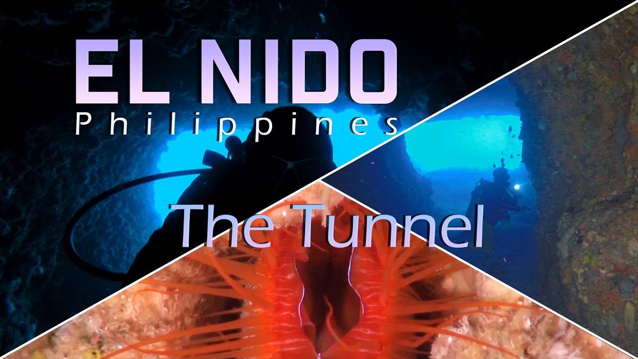 Embark on virtual diving experience at Dilumacad Tunnel.
