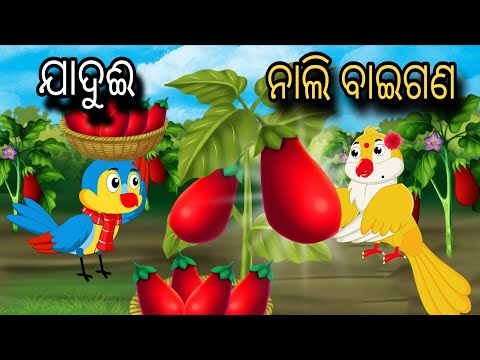 Jadui Nali Baigan | Tiki Chadhei Gapa | Odia gapa | Moral Story | Bird Story | Cartoon Story