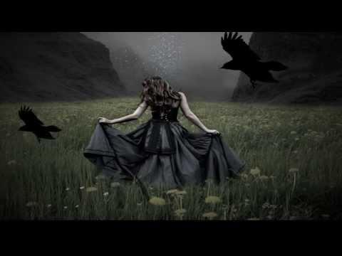 Hallur Joensen & Kris Kristofferson  -  "Nobody Wins"