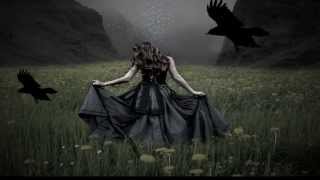 Hallur Joensen &amp; Kris Kristofferson  -  &quot;Nobody Wins&quot;