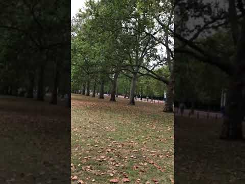 セント・ジェームス・パーク - 定義