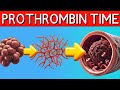Prothrombin Time Explained Prothrombin Time Vs INR