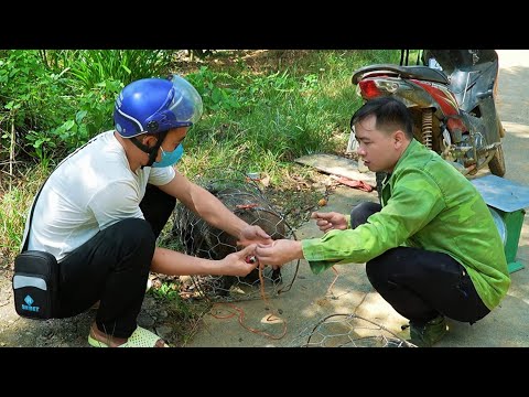 Jhony sells wild boar to prepare money to build a new farm