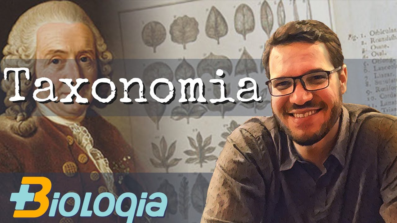 Taxonomia e Sistemática filogenética - Classificação biológica em Mais Biologia com Roger Maia