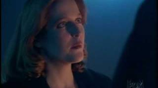 Irresistible, trailer