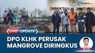 Perusak Mangrove di Damar Belitung Timur Sembunyi di Kontrakan, Diringkus Tim Gakkum KLHK