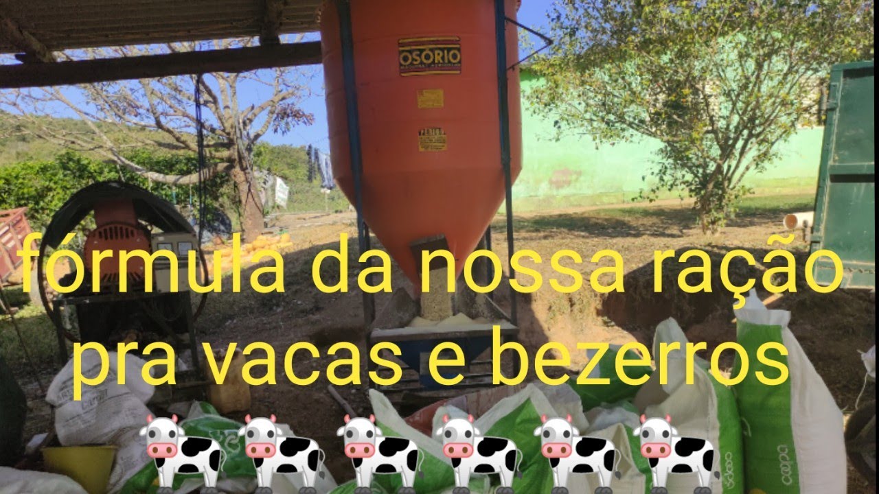 Ração 25% fórmula da nossa ração pra vacas e bezerros 🐄🐄🐄