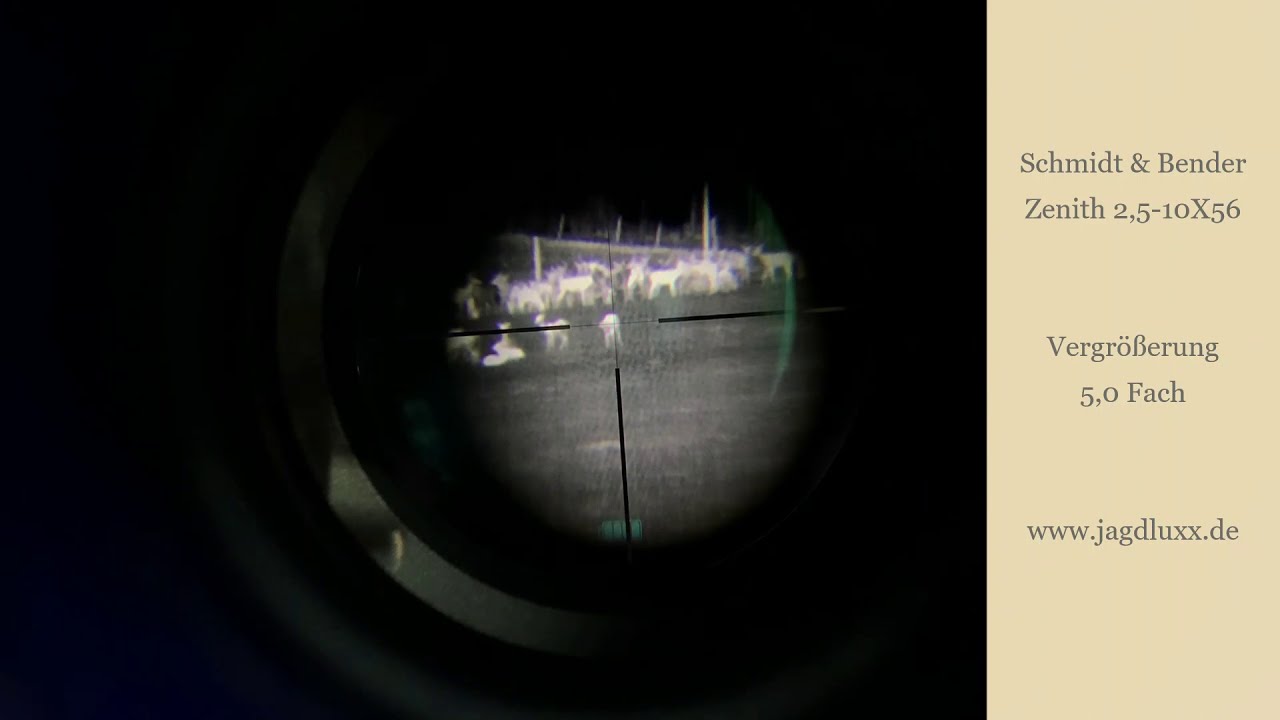 NITEHOG VIPER - das neue kompakte Wärmebildvorsatzgerät im PRAXISTEST