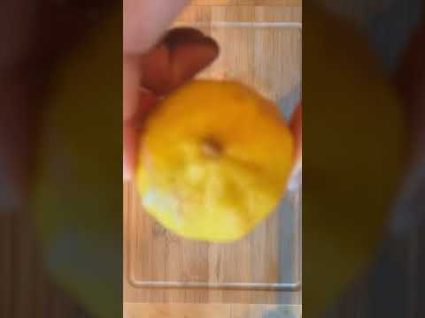 Simply Easy Creamy Honey Mustard Sauce