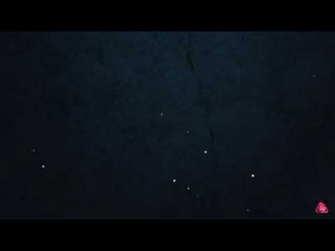 Lagu Anjing Kacili + Lirik (Bassgilano Revolution)