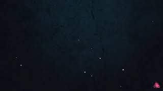 Lagu Anjing Kacili + Lirik (Bassgilano Revolution)