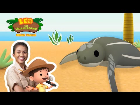 Witness21  2022 11 26