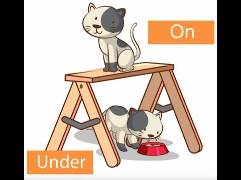 Prepositions of place / Miss Náyade Gálvez