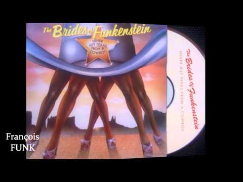The Brides Of Funkestein - Party Up In Here (1979) ♫