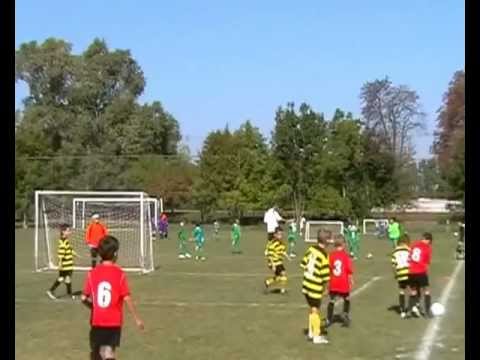 Piros Arany Kupa -- PMFC 2003  -- Kalocsai Méhecskék SE   2 : 0 -- (2011)