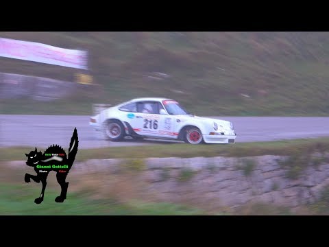 36° Rally Città di Bassano 2019 (Show & Mistakes )