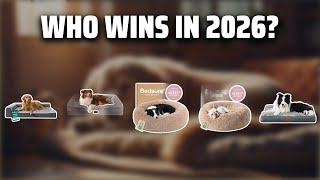 The Top 5 Best Dog Bed in 2026 - Must Watch Before Buying!