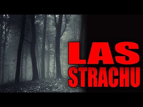 Las Strachu cz. 1/3 - Creepypasta od widza [LEKTOR PL]