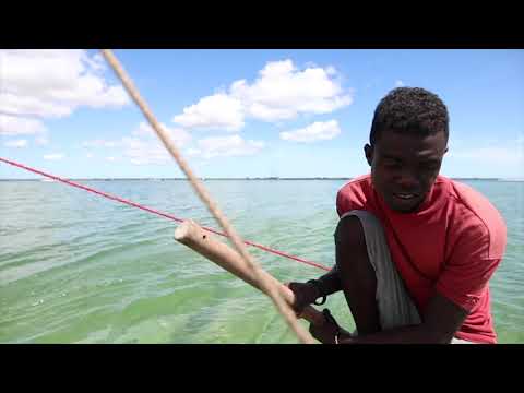 All about Madagascar