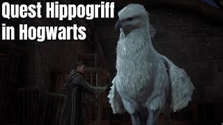 How to Rescue the Hippogriff in Hogwarts Legacy (FULL QUEST)