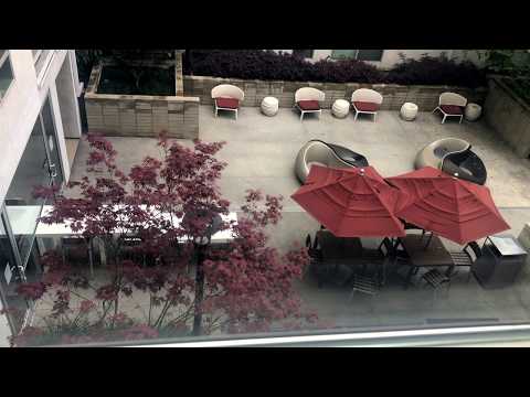 Jia Apartments - Los Angeles - One G 1 Bedroom Unit 414 725 sqft