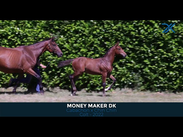 10 Money Maker DK