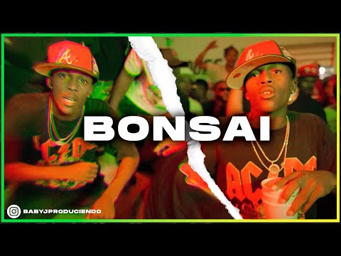 Pista Flow 28 Type Beat Angel Dior ''BONSAI'' | Instrumental de dembow Tivi Gunz
