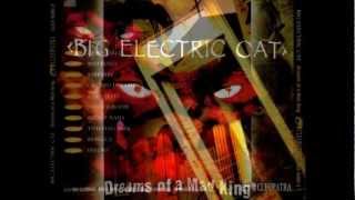 BIG ELECTRIC CAT - Orchid Dreaming