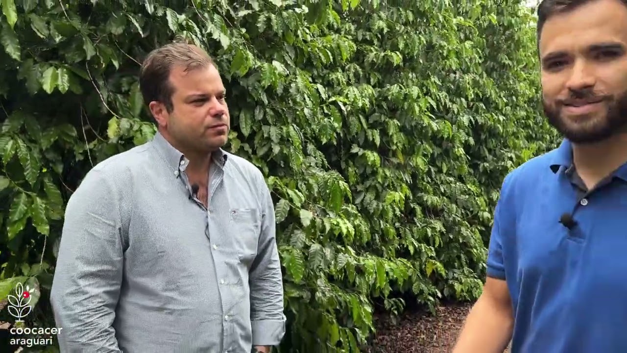 CAMPEÃO da Categoria Natural no 12º Prêmio Região do Cerrado Mineiro - Etapa COOCACER 🏆