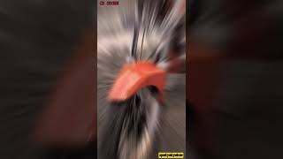 Download lagu STORY WA CB MERDEKA MERAH PUTIH mp3 Download lagu STORY WA CB MERDEKA MERAH PUTIH mp3