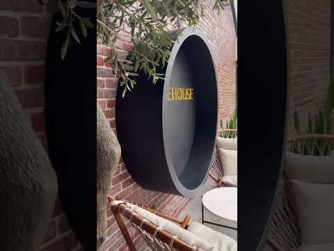 Thumbnail for Carnival Dream #beach #travel #vacation #fyp #health #fashion #jesus #god #love #food #belize