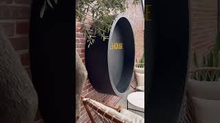 Carnival Dream #beach #travel #vacation #fyp #health #fashion #jesus #god #love #food #belize