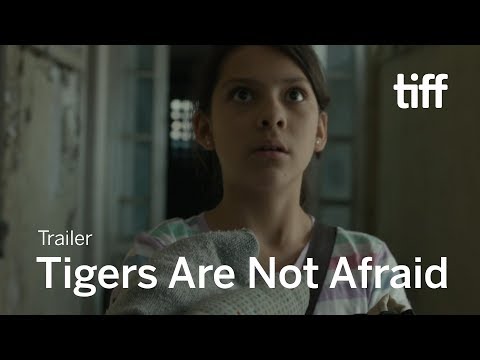 Tigers Are Not Afraid Trailer