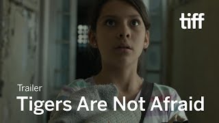Tigers Are Not Afraid (2017) Video