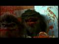 Power Of The Night Music Video HQ Johnny Steele Critters