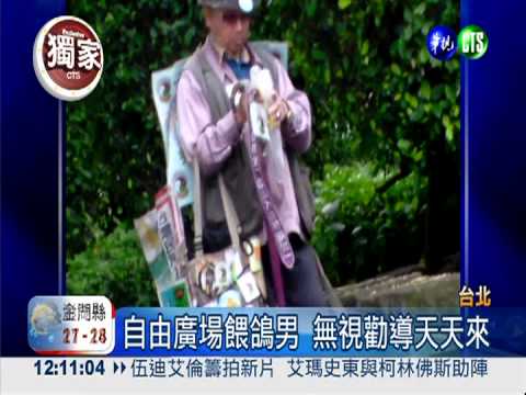 防H7N9禁餵禽鳥 餵鴿男屢勸不聽