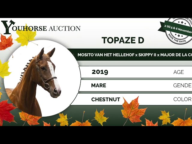 Topaze showvideo