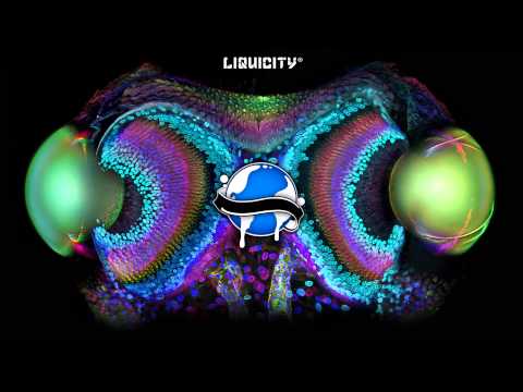 BCee - Count The Stars (Hybrid Minds Remix)