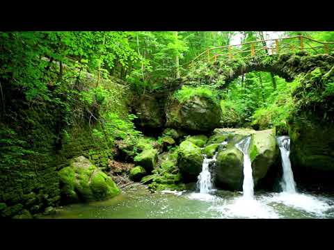 A Small bridge Stream with waterfalls. Nature Sounds, Mountain Stream, White Noise for Sleeping.
