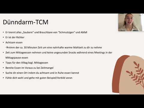 Gesundheitsvorsorge, Gesundheitserhaltung & Fastenbegleitung | Dünndarm TCM