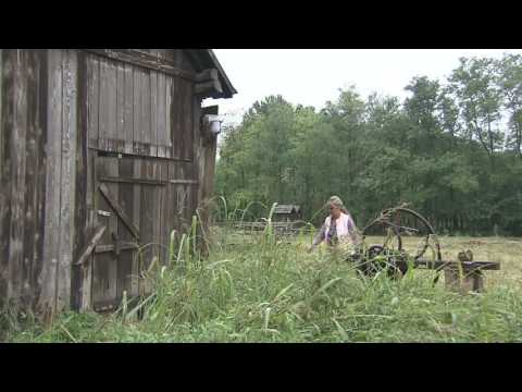 Kakva je farmerica Ankica?