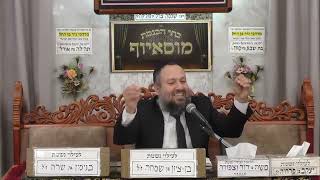 הרב יעקב שמש | פרשת שמות | מוסאיוף